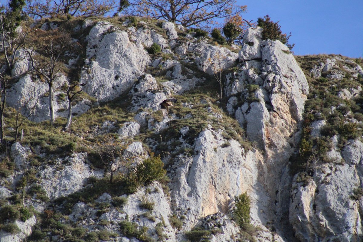 Où est Charlie ? #chassepartage