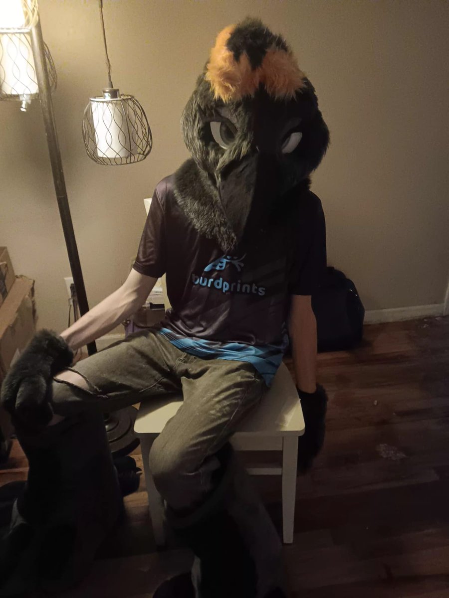 A raven named Matthew tweet media