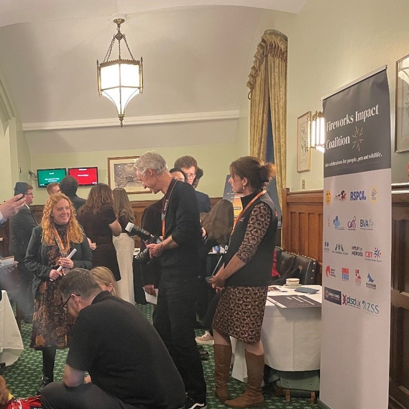 CatsProtection's tweet image. Great to be in Parliament last week with the Fireworks Impact Coalition to raise concerns about current fireworks regulations. 🎆 
Together, we are calling on the Government to review existing fireworks legislation to account for their impact on human and animal welfare.