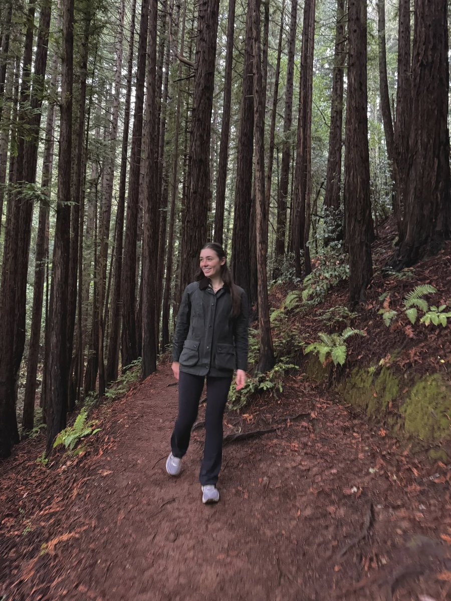 Thumbnail of www-x-com-avramidou-status-1990501956511805755-1930f78ca24d4869