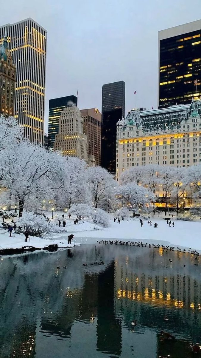 soylebisakinlik's tweet image. winter in New York