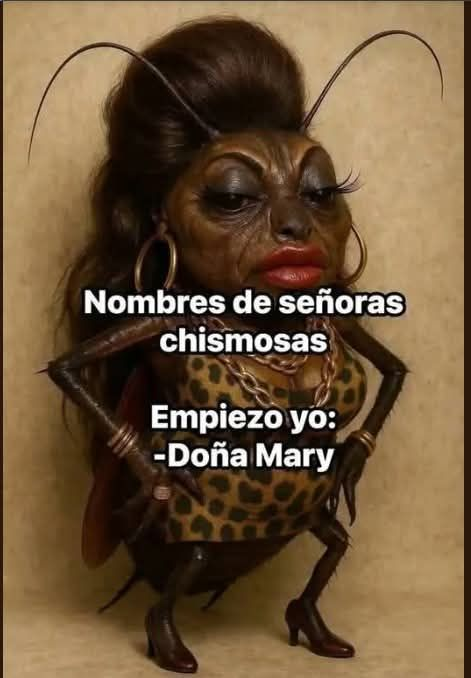 MexicoMagico's tweet photo. https://t.co/PWwxmqLwPm