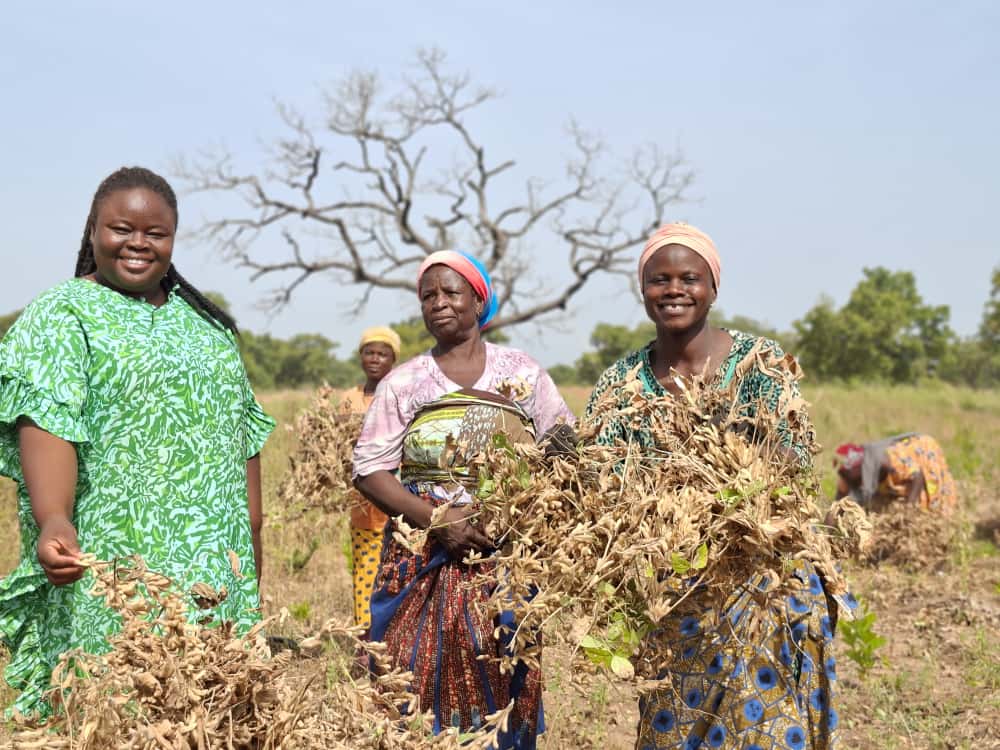 Exciting day at our Demonstration Farm in Mion District! 🌾🚜  Today, we hosted a successful Brown Field Day celebration, showcasing our soybean and maize crops amidst harvesting and threshing activities. 🌟

Farmers, agriculture experts, and students came together to share
