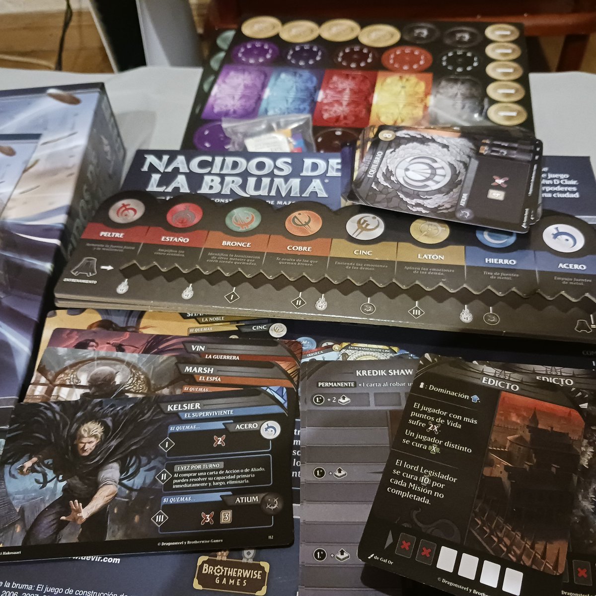 Caía ceniza del cielo..#Mistborn