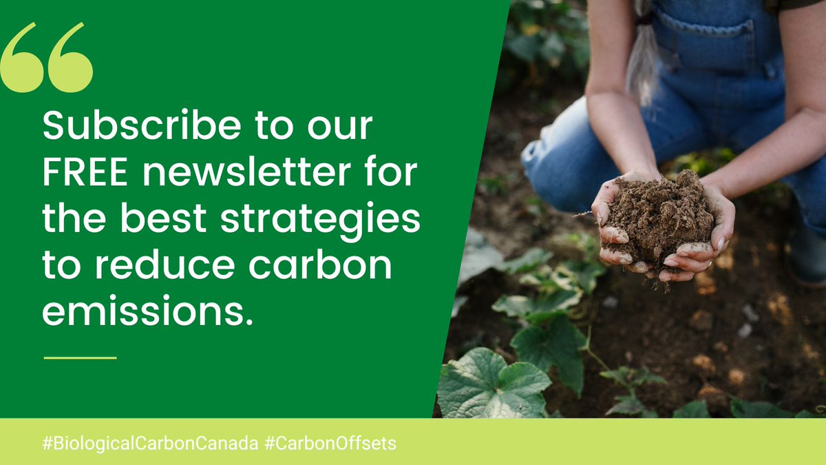#DYK all BCC newsletters are archived on our site? 

For the latest news and all archived material: 👉bit.ly/3aBZMtA

#BiologicalCarbonCanada #CarbonOffsets #Sustainability