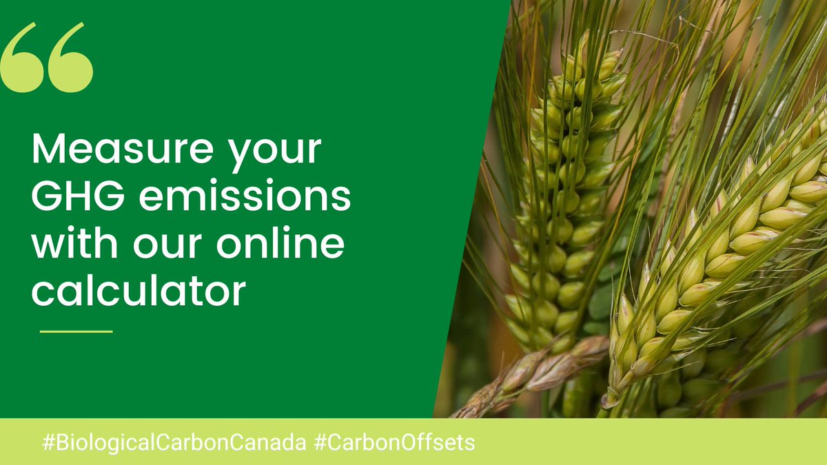 #DYK you can purchase carbon credits directly. With a carbon footprint calculator, you plug in your information and instantly see how much carbon you need to purchase to offset your lifestyle.
Learn more: bit.ly/48auRzT

#BCC #CarbonOffsets #Sustainability
