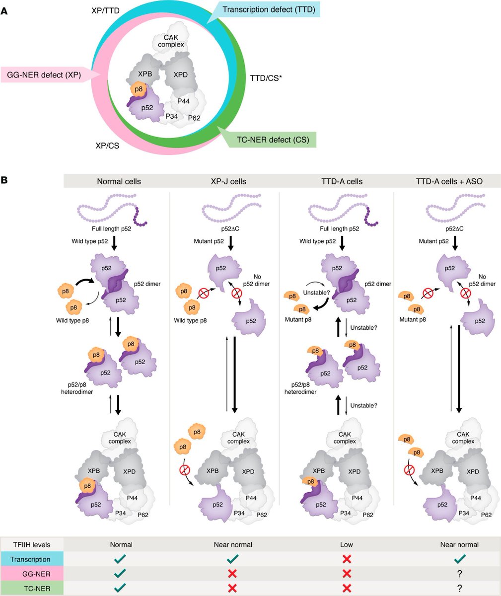 Queen of the Still – Martine Nouet | ジャンシス・ロビンソン, image size:1009x1200