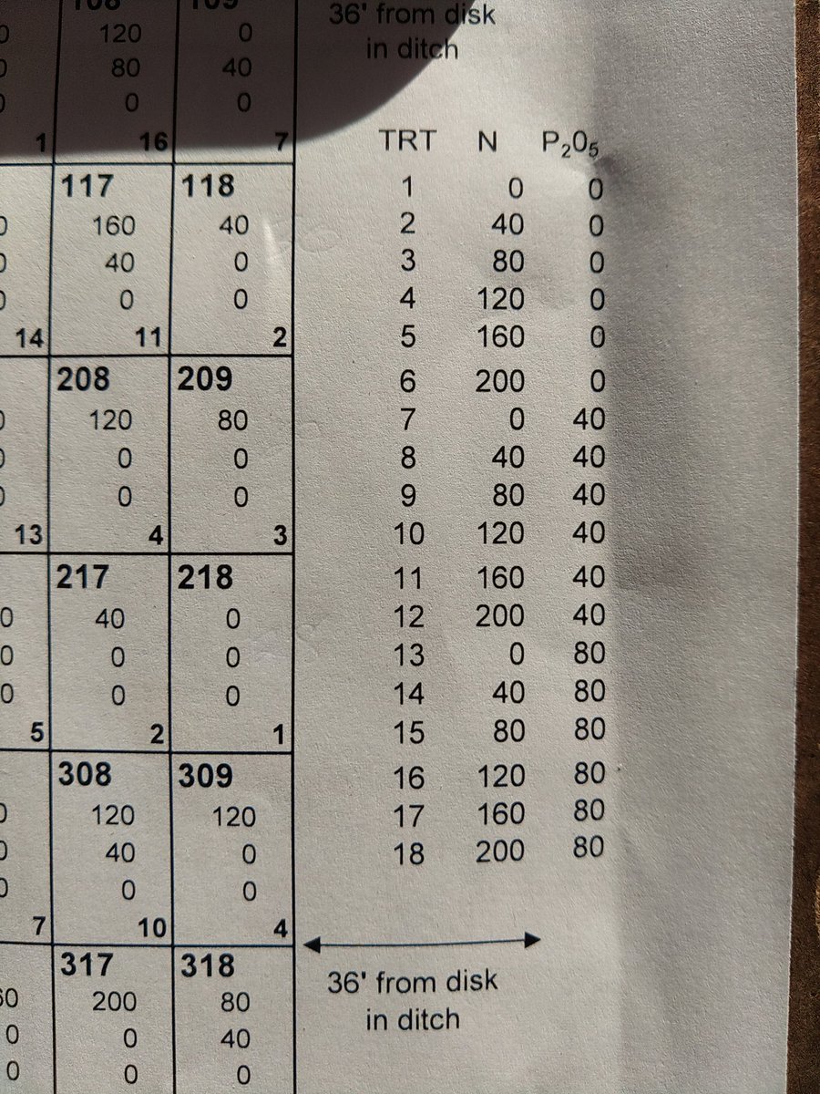 Lucas Haag tweet media