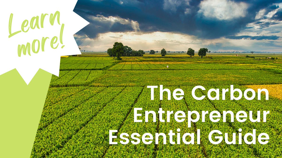 Explore our page, dedicated to individuals or entities focused on developing innovative solutions or business ventures that address and mitigate carbon emissions, or work towards enhancing carbon sequestration.
bit.ly/3Pm0BeT

#BiologicalCarbonCanada #CarbonOffsets