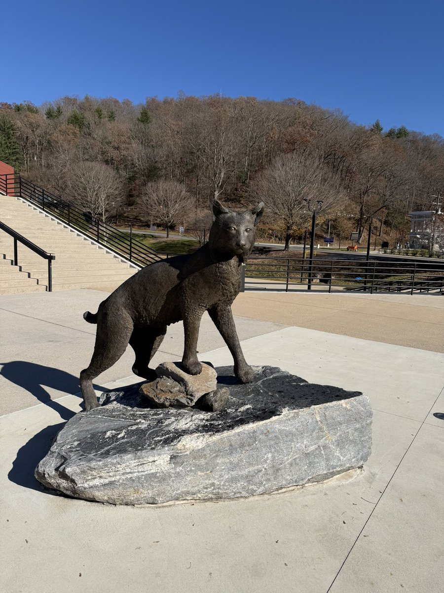 Carter Jones tweet media