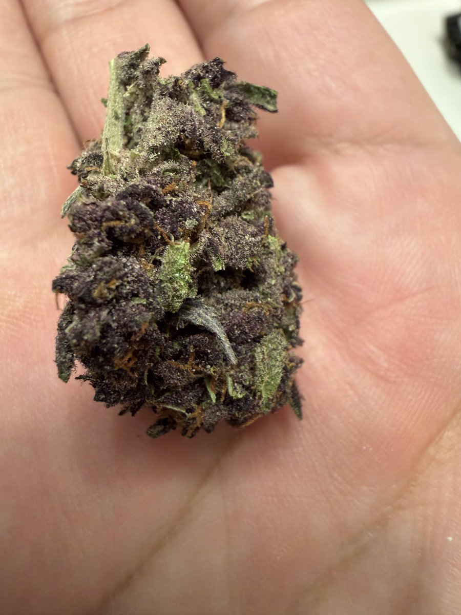 WriteWeed's tweet image. Skywalker OG about to take me there! #WriteWeed #Weed #CannabisCulture #StonerFam