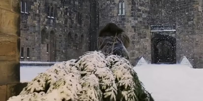 HPotterUniverse's tweet image. Christmas is coming 🎄❄️🎅🏼