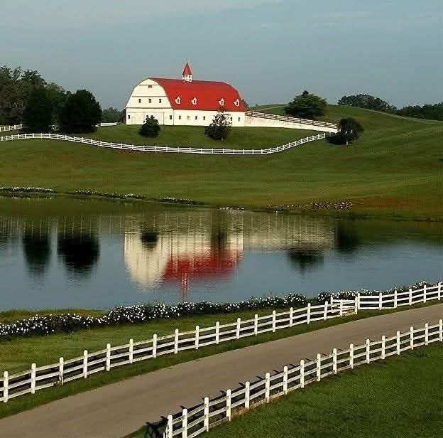 RawAlabama's tweet image. Hallmark Barn

Warrior, Alabama.