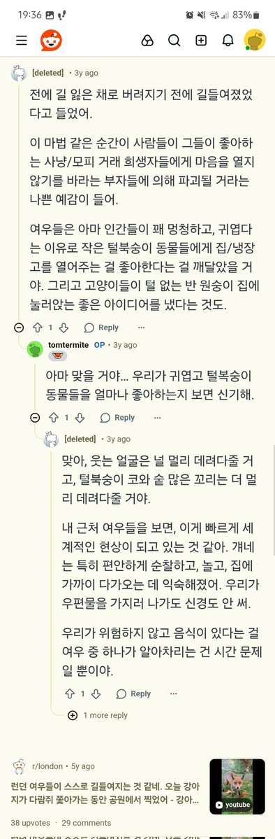 joethevirtuous's tweet image. 라쿤들의 주둥이가 짧아지고 있어서 가축화 초기 징후로 보인다는데
얘넨 왠지 길들여진 척 집안에 잠입해서 곳간 털어갈 것 같음.....도둑놈같은 것도 귀엽지만
검색해보니 여우들도 비슷한 사정.
라쿤이나 여우같은 &apos;어반 동물&apos;은 이젠 야생동물도 아니고, 좀 인간이 책임질 의무가 있다고 느껴진다.