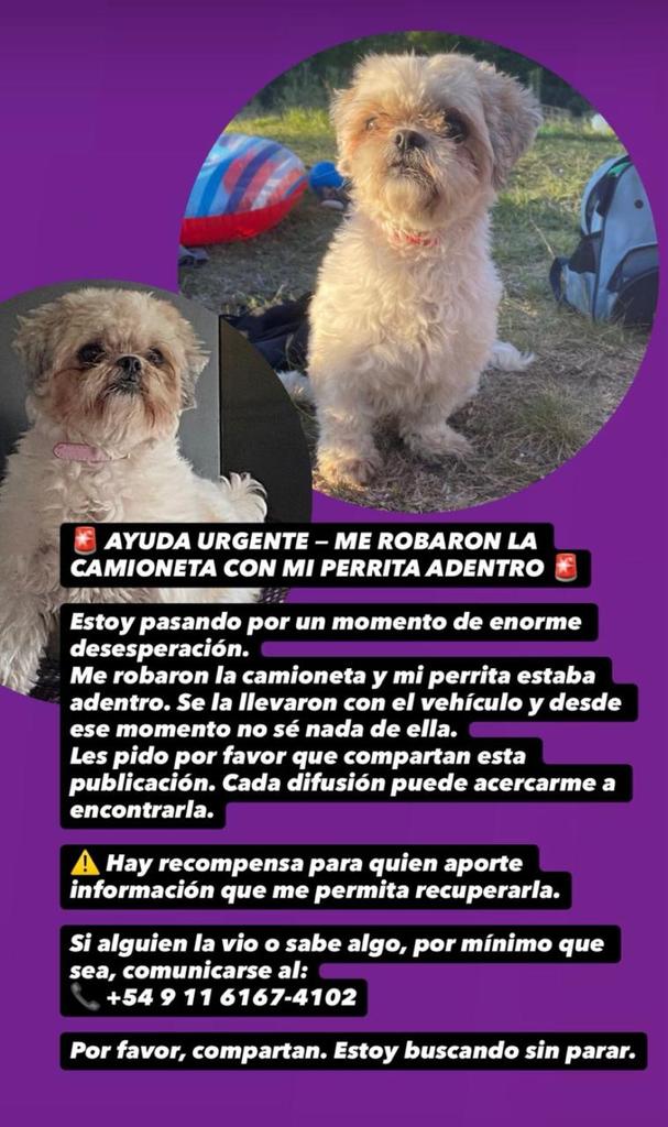 Rt
Recompensa en dolares