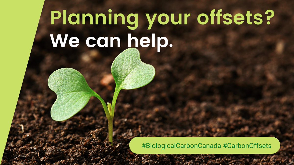 Carbon offsets have co-benefits, including water conservation, flood prevention, biodiversity preservation, and job creation.

BCC can help you with your offsets: bit.ly/3bWibC3

#BCC #CarbonOffsets #Sustainability