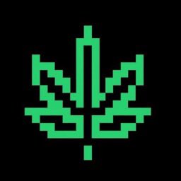 I have personally felt the wrath of the credit card processors in the hemp space all the way back to 2014. I cant stress enough that they are going to be closing those relationships off and charging more as the year end mark gets closer.  The hemp blockchain can help the industry