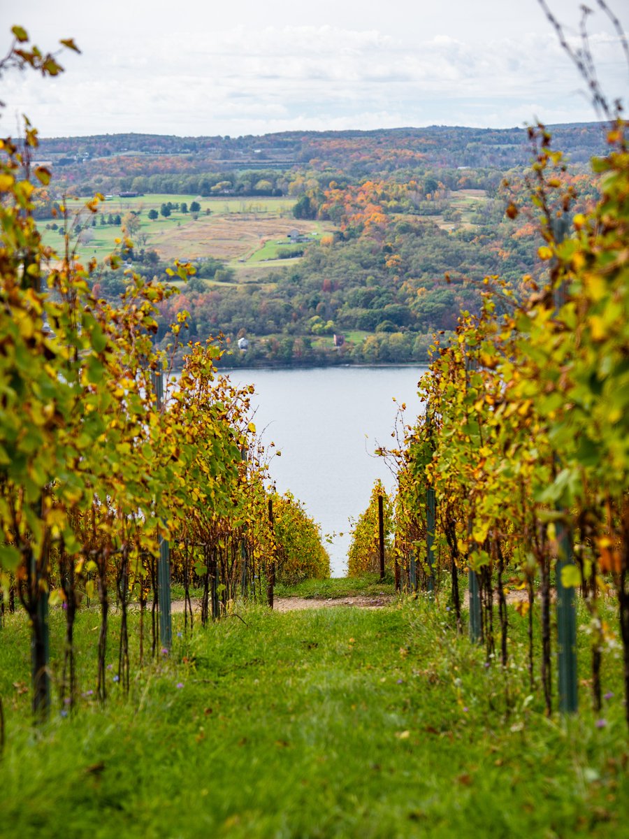 Finger Lakes Travel tweet media