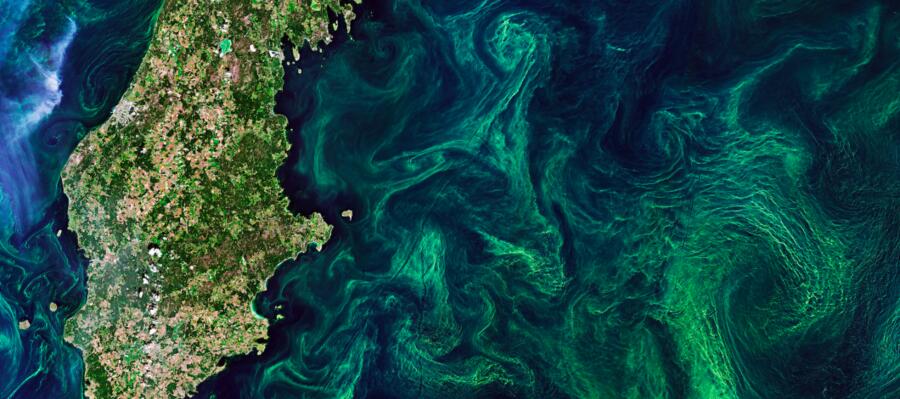 Océans : la biomasse phytoplanctonique, base de la vie marine produisant jusqu'à 50% de notre oxygène, en déclin rapide limportant.fr/infos-planete/… #Planète