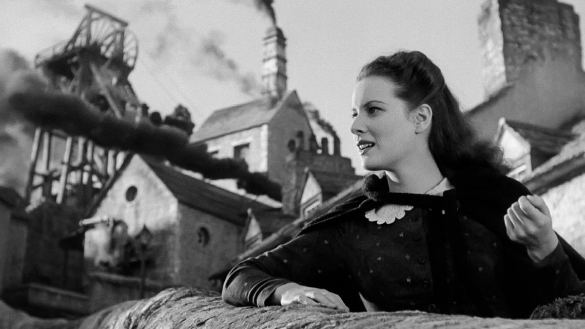 How Green Was My Valley (1941, John Ford)
32.16 GB
2 audio tracks
13 subtitles

1080p BluRay REMUX VC DTS-HD MA 5.1