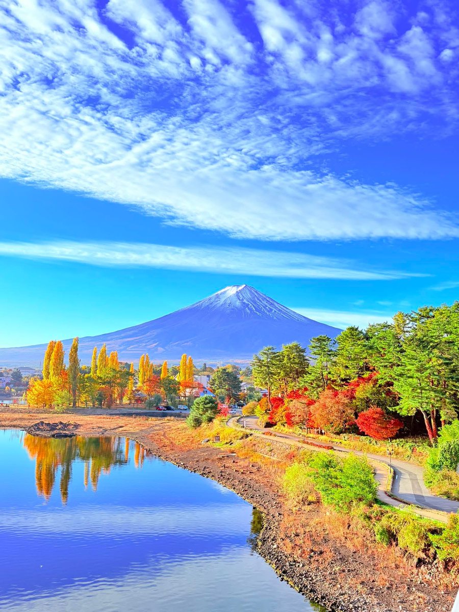 皆さん、おはようございます😸
今日も✨よろしくお願いします
良い日曜日をお過ごし下さい