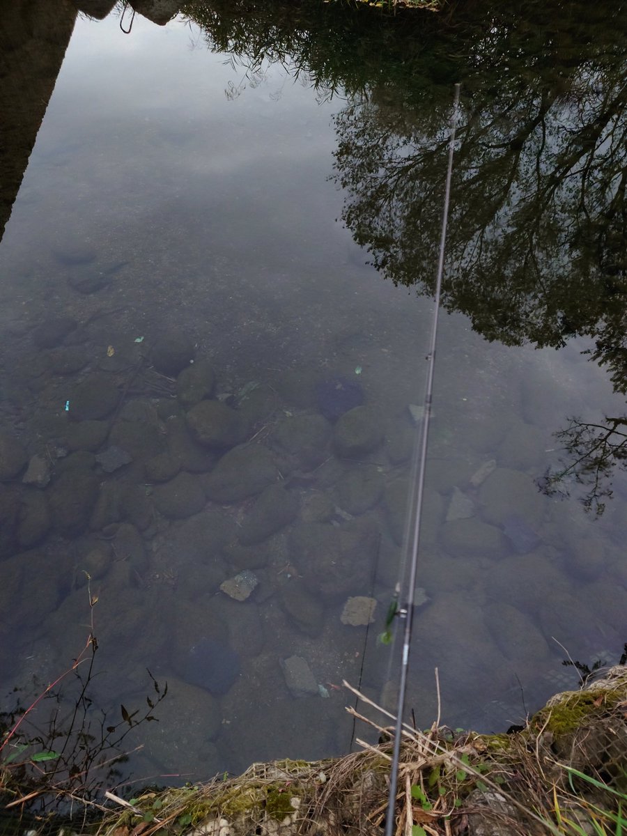 ftafyapm's tweet image. おはようございます☁🎣川遊び🐟魚は冬休みに入りました😊
#釣り好き
#自然好き