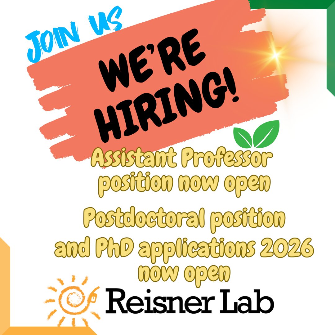 ReisnerLab's tweet image. 📢📢📢 We&apos;re hiring! 📢📢📢

The @ChemCambridge Department is looking for an Assistant Professor in Solar Chemical Technologies ☀️

Our group is now accepting #postdoc and #PhD applications to start in October 2026 🎓

Find more here:
www-reisner.ch.cam.ac.uk/positions.html
