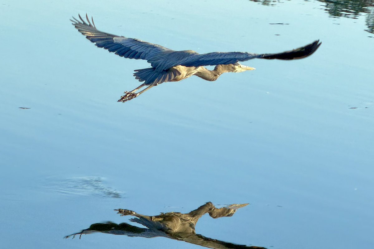 Nerd Alert: Bird Nird.🤓