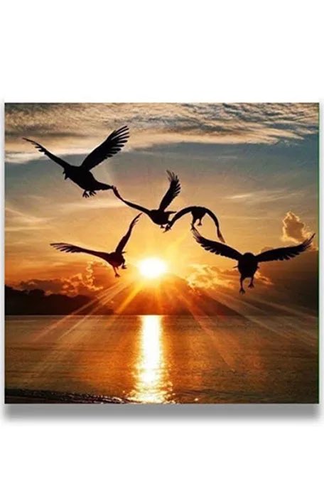 ياطير ياضاوي الي عيشك
قولي متى باضوي انا عشي
مليت شفنا هذه العيشه
قلبي من الفرقه كما الريشه
تسرح وتضوى وانت في ارضك
ياريت انا مثلك عمدت ارضي
حتى ولو جمال على الهيشه🎼🎼