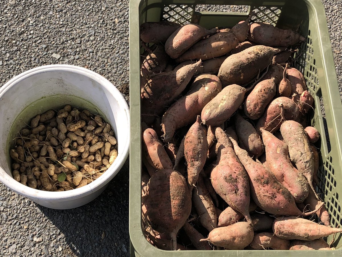 おまとめ　2点ありがとうございます(^-^) おすすめのフォロワーさんです✨ フォロー推奨です!! 𐅁𐀸𐋠𛰙᭜᭜