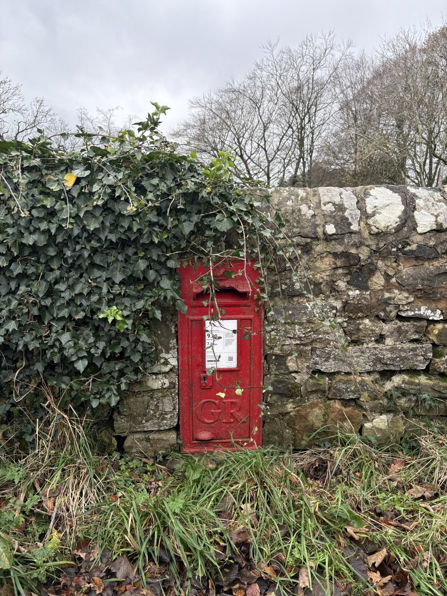 Sawreygirl's tweet image. My first ever George V near Galgate, Lancaster #postboxsaturday