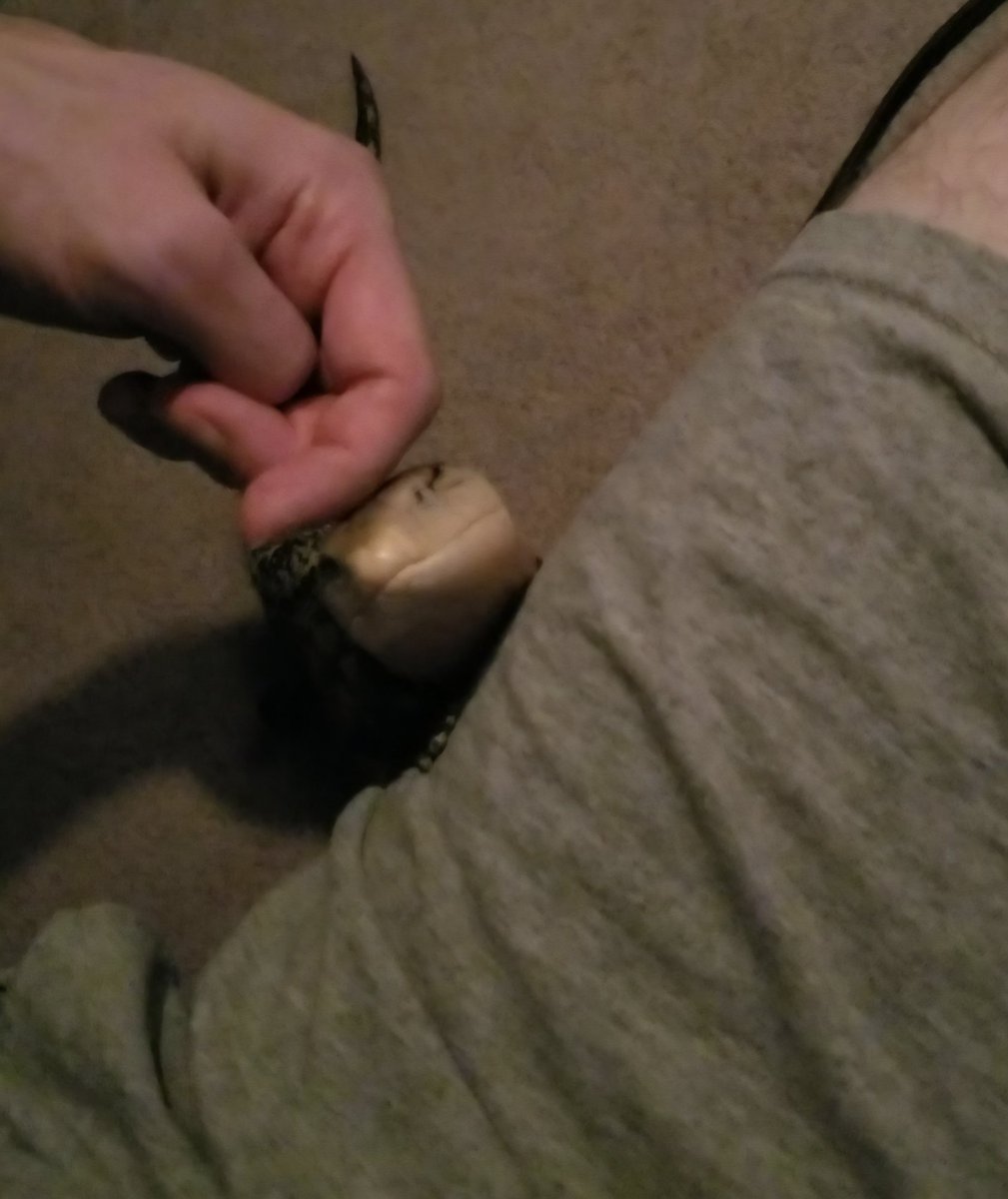 Austin Trujillo tweet media