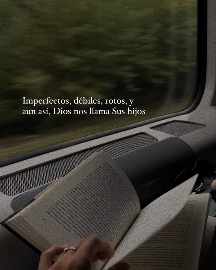 el Siervo (@elsiervo__) on Twitter photo 