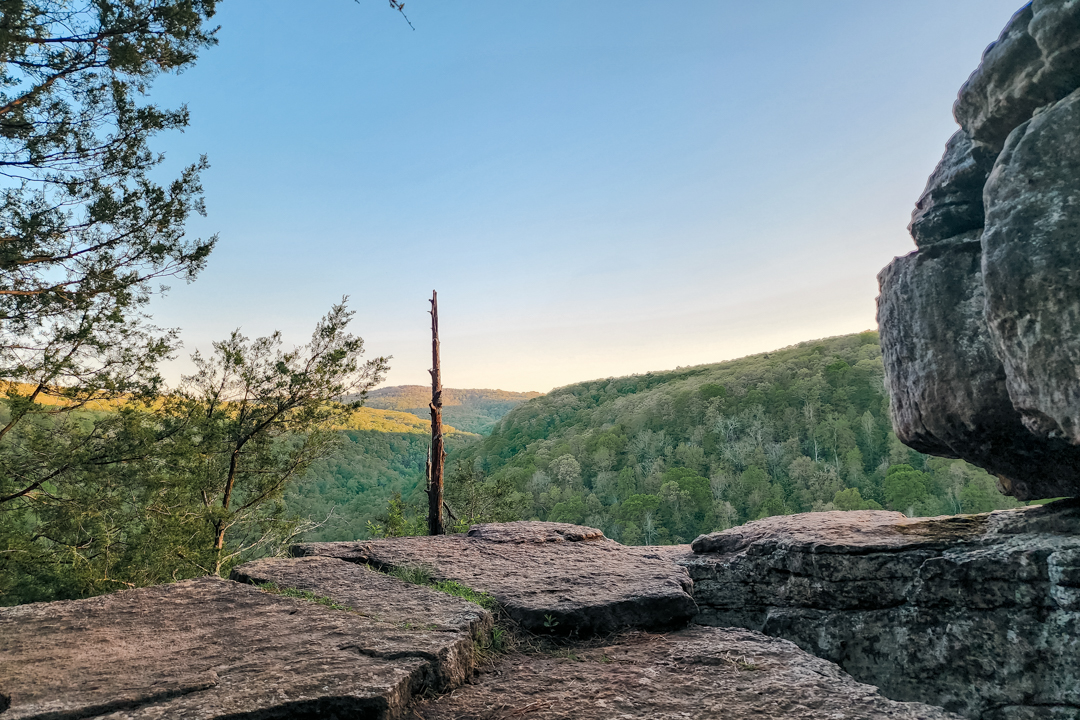 laketherapypics's tweet image. Let the gear go, kept the dog close, and found myself on a ledge that looked like it belonged in a movie.
#HikingArkansas #HawksbillCrag #NatureFix