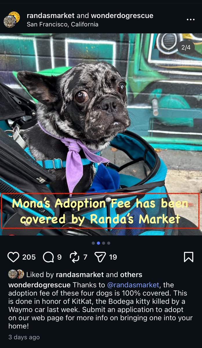 rememberkitkat's tweet photo. Impact already made on our donation
to Wonder Dog Rescue - locally based 
in the Bay Area. #RememberKitKat ❤️ https://t.co/CBOzGXi2TU