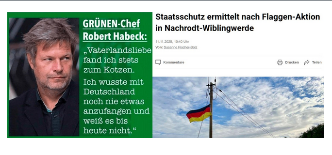 Sehr_woke tweet media