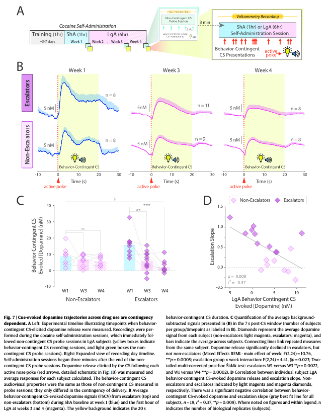 Olivier George tweet media