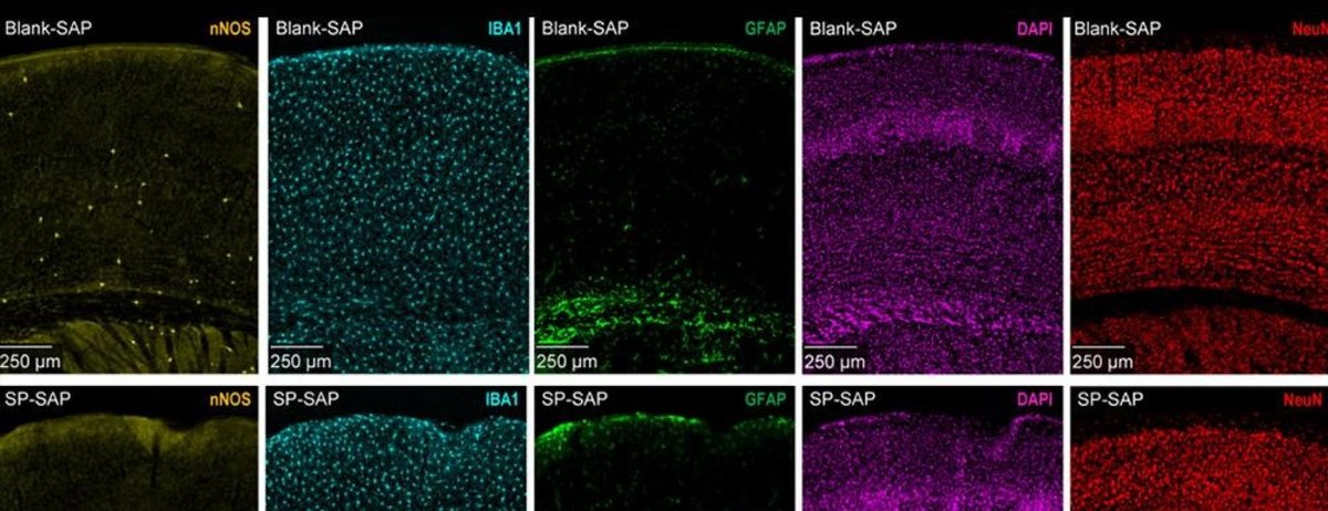 Agingdoc🩺Dr David Barzilai🔔MD PhD MS MBA DipABLM tweet media