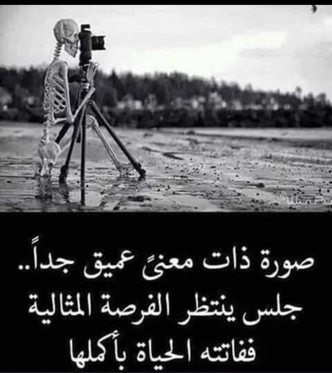 ولأن العمر شيء ...
... والحياة شيء آخر...
 فإننا لا نشتهي مزيداً من العمر... بل مزيداً من الحياة .