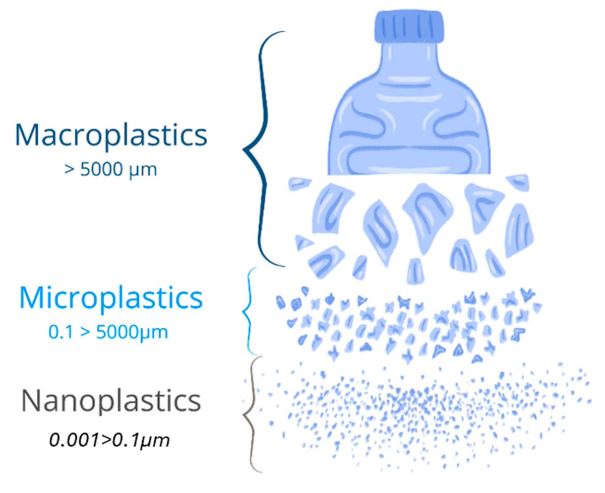 EM203Parth's tweet photo. This image shows how a simple plastic bottle can break into thousands of micro- and nanoplastics. These tiny particles are everywhere — even in our drinking water. https://t.co/o9RWL3jSMd