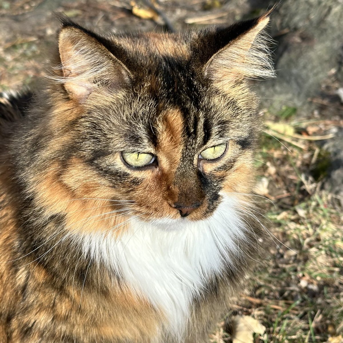 Last warm day for a while-63° right now! 😻 Back to cold again tomorrow though 😕