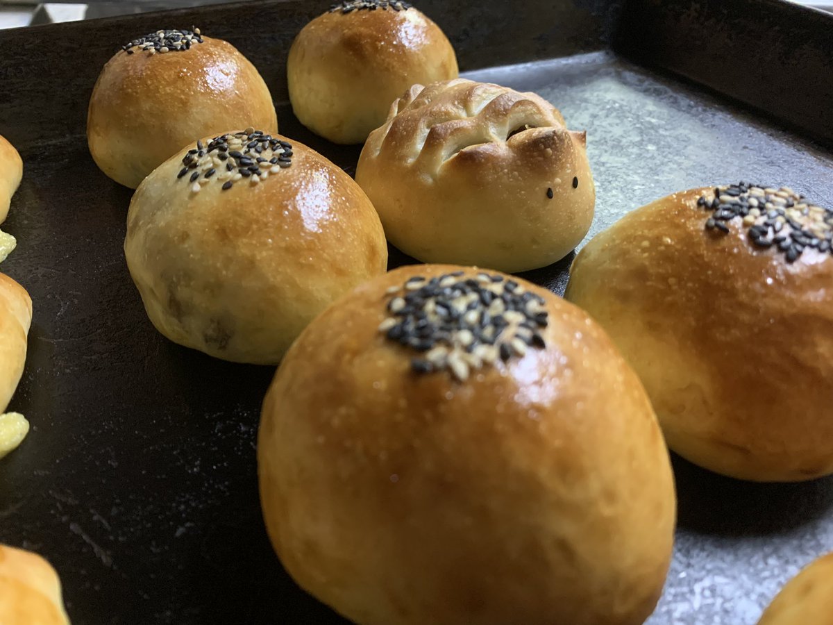 今日も頑張ろ🍞
富士コス２日目🐇💨