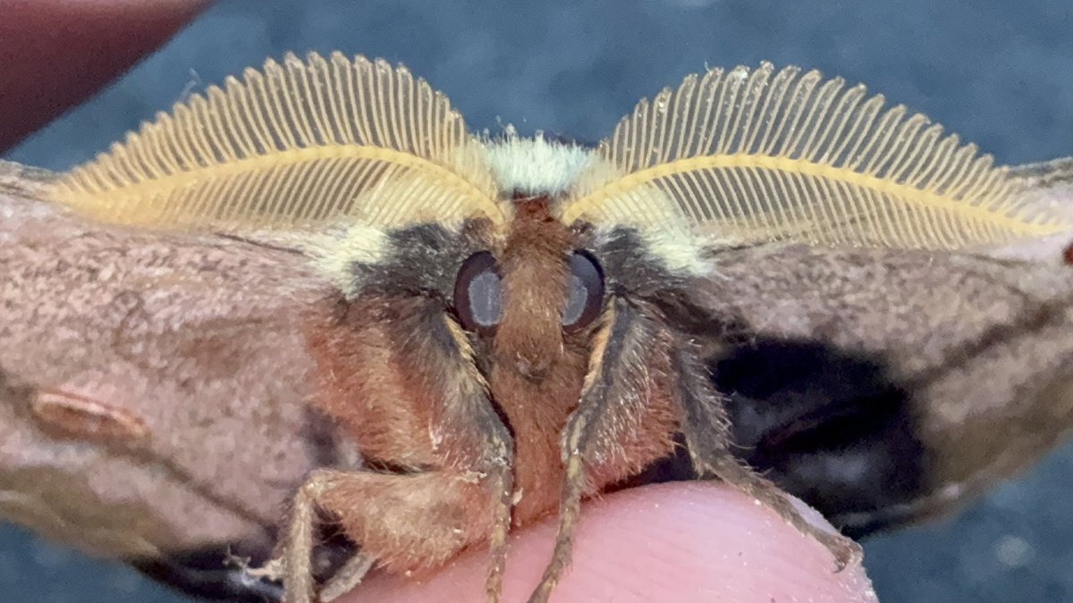 まさやん (@masayan59896607) / Posts / X