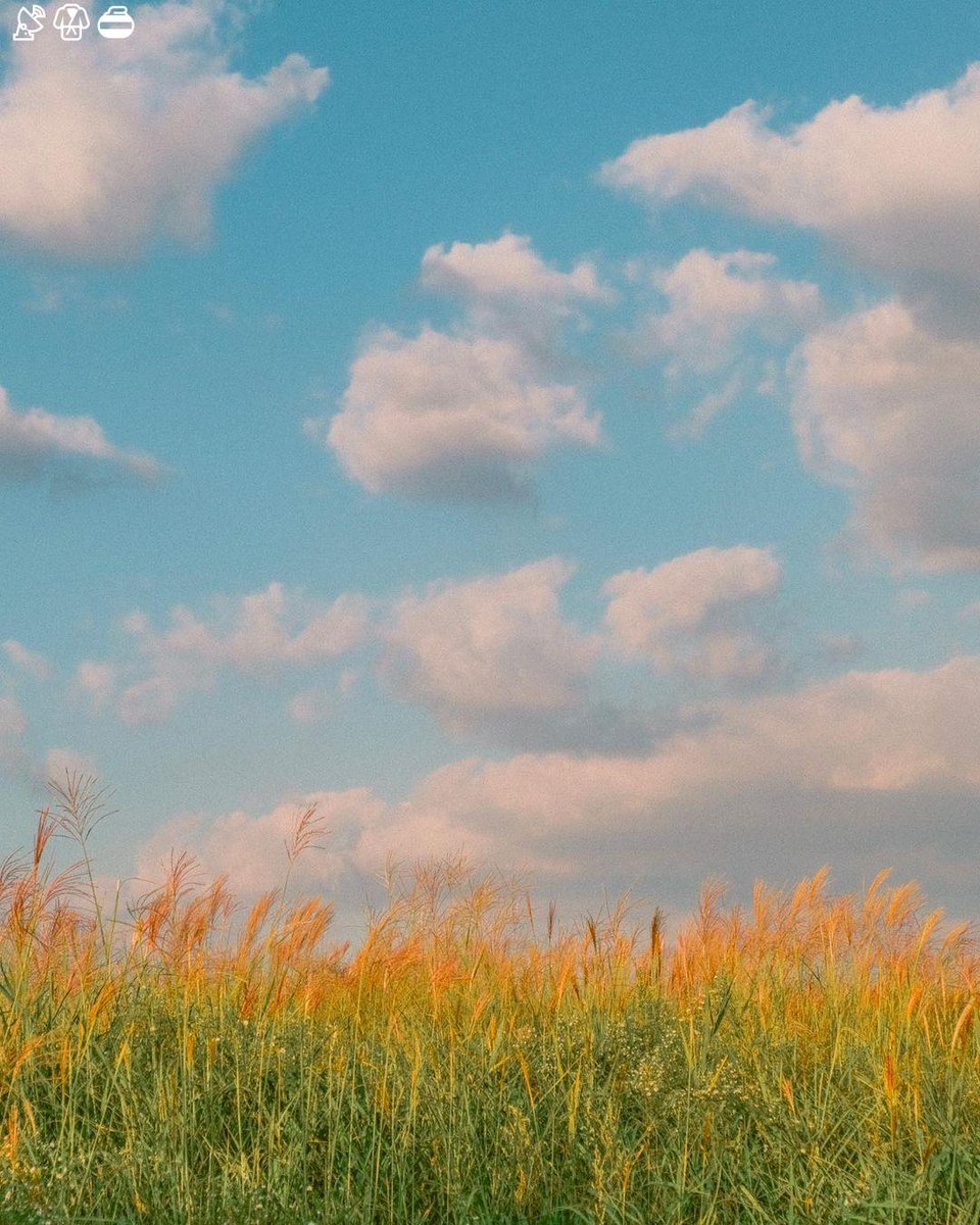 ♉ CULLERETA ♉ tweet media