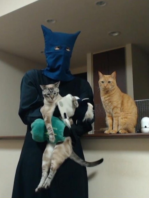 papeushikaeru's tweet photo. 家族写真です

#家族の日 https://t.co/Z6Hoie3gTw