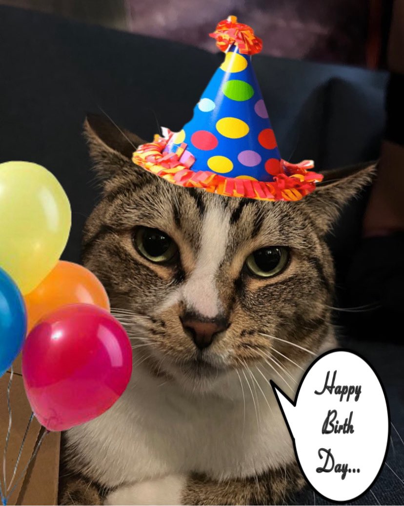 bean_and_chaton's tweet image. baby bean’s birthday week!! she is 6 years old!!!