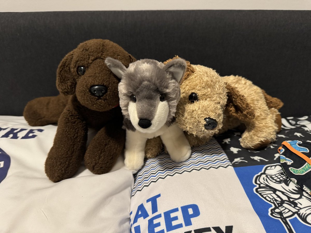 4Russ @ NPS tweet media