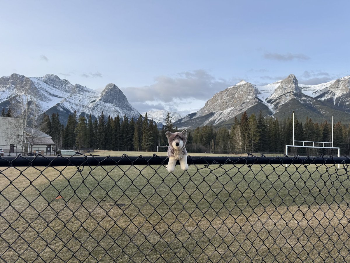 4Russ @ NPS tweet media