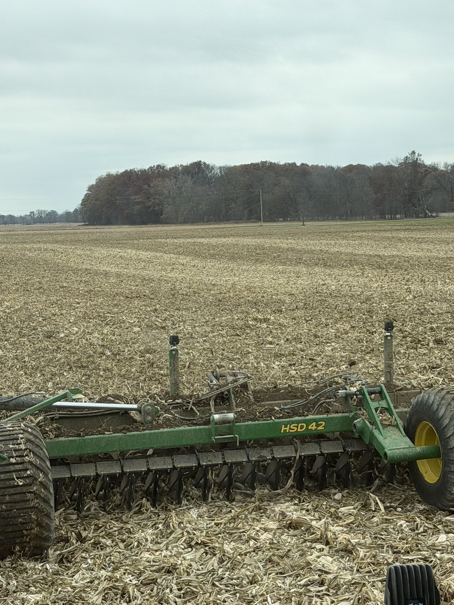 Shane Kellogg tweet media