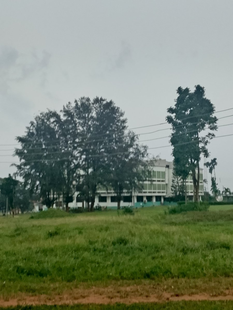 luqmanola60's tweet image. Omw home from sch after someone told me there&apos;s electricity in sch

Haven&apos;t written code for 4 hours in 2 weeks+😭

Wish I was here since morning tho, I would have done a lot

This is the life I&apos;ll be living for now

Fuck this country

is it a crime to say fuck the president?